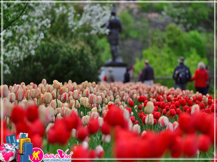 Du lịch Canada Lễ hội Hoa Tulip 8 ngày khởi từ Sài Gòn giá tốt 2018